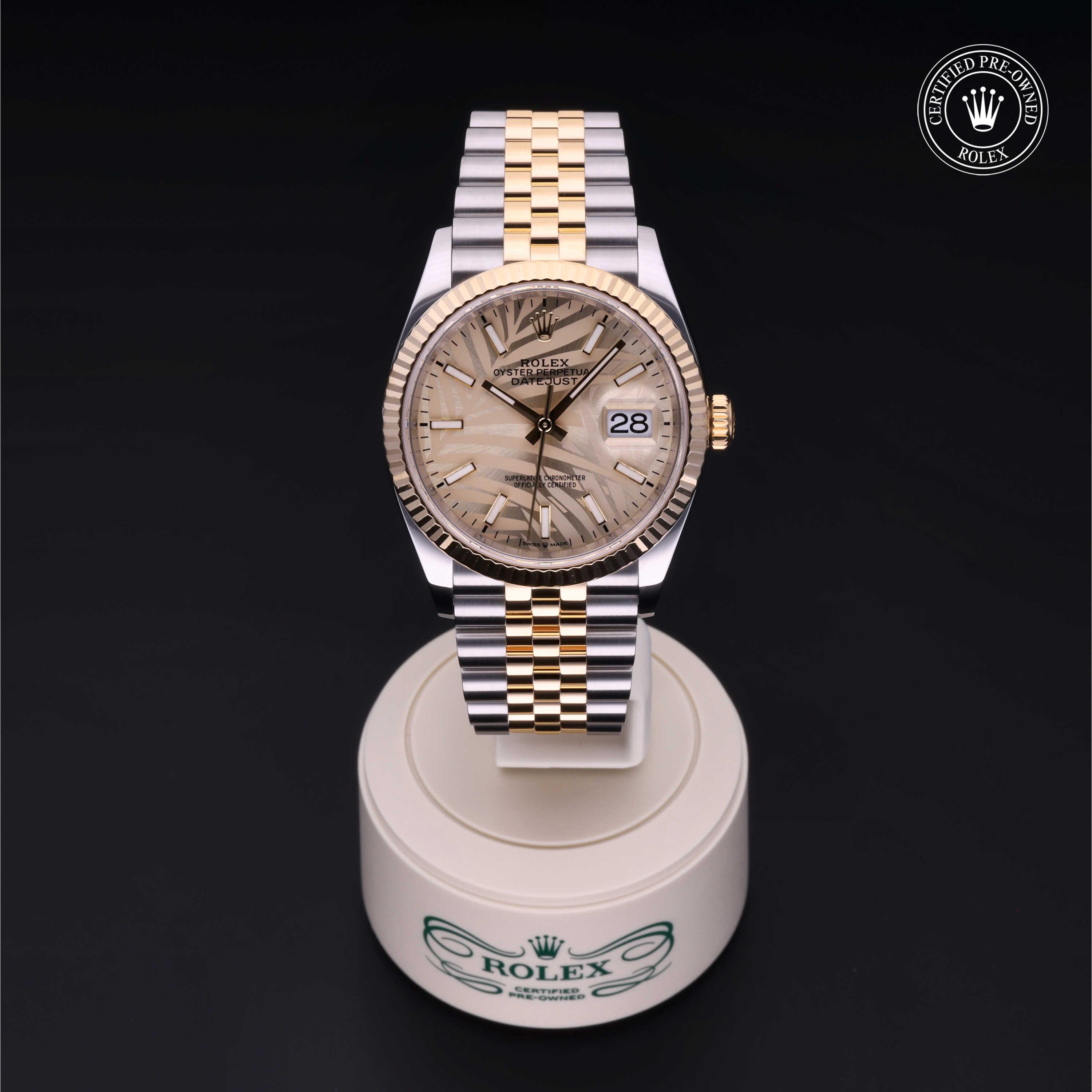 Datejust 36 勞力士中古錶認證 2023, 36毫米, 18K黃金鋼
型號: 126233